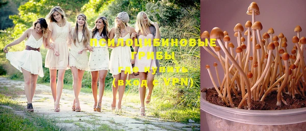 тгк Надым