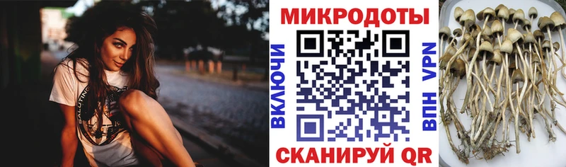 Галлюциногенные грибы GOLDEN TEACHER  Купить где  Судак 